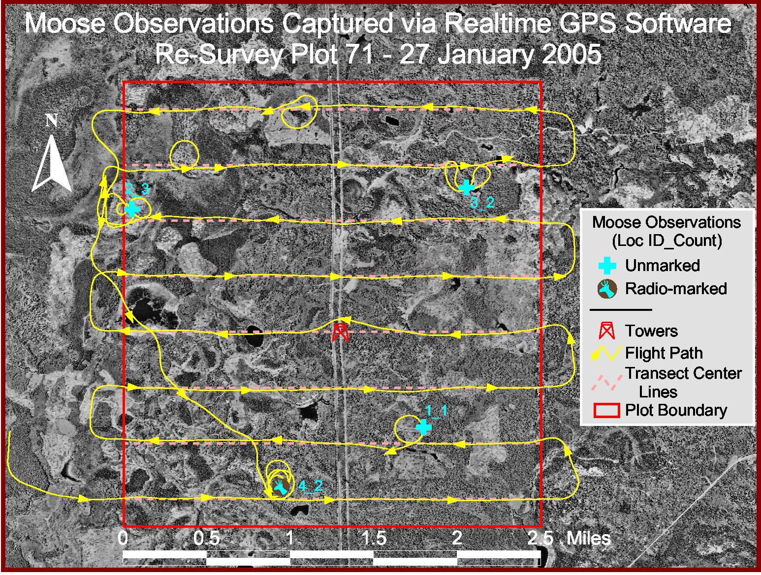 Survey flights used to estimate detection probabilities of radiocollared moose in Minnesota. Flight lines are in yellow. The moose in the lower left was not initially observed. At the end of the flight, this individual was located using the VHF signal on the collar and found to be within the flown plot. Figure created by Robert Wright, Minnesota Department of Natural Resources.