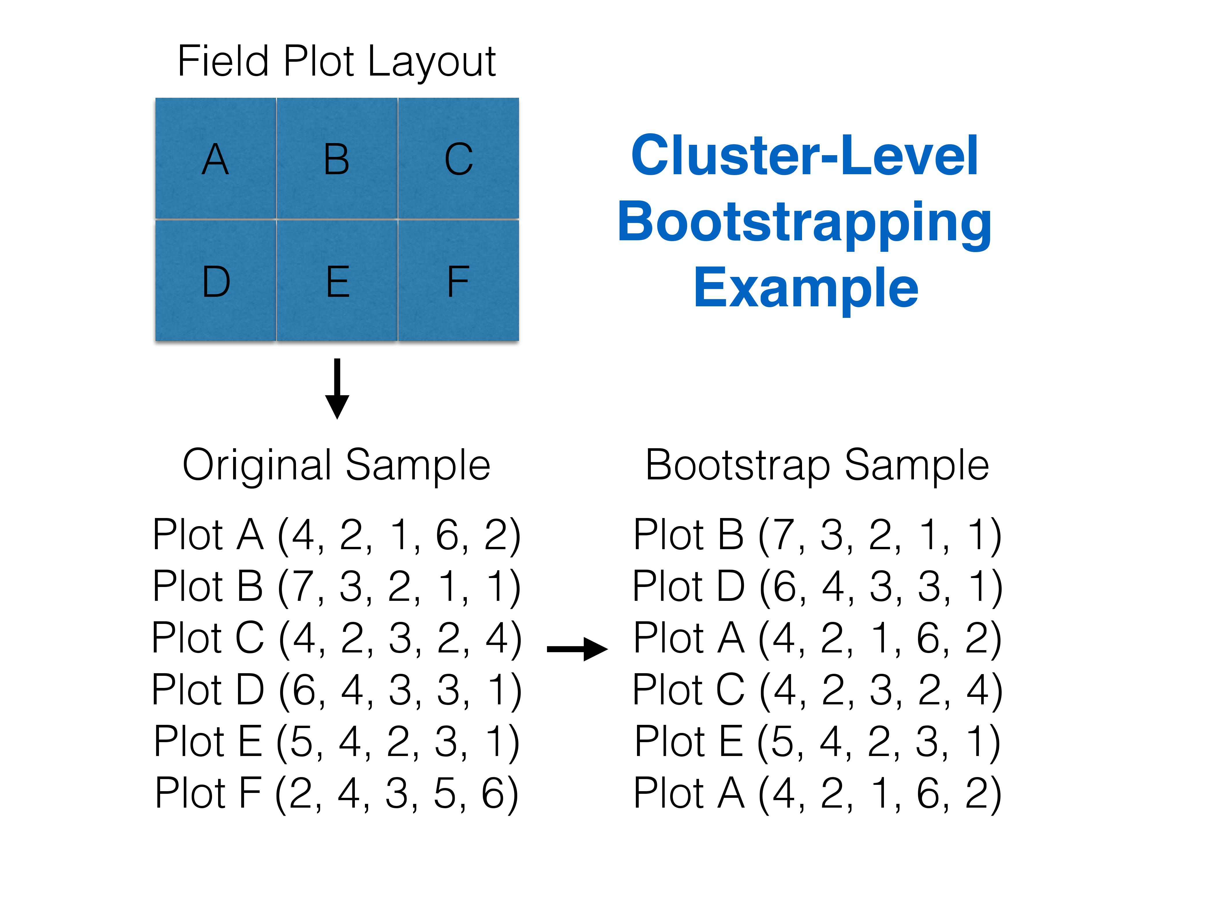 Cluster-level bootstrapping resamples whole clusters of observations with replacement. Figure constructed by Althea Archer.