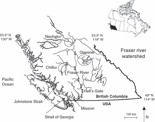 Map of Canada with an inset of the Fraser River Watershed of British Columbia from (Cooke et al., 2009)(https://onlinelibrary.wiley.com/doi/10.1111/j.1752-4571.2009.00076.x), published under a CC By 4.0 license. The number of salmon passing Mission is estimated using hydroacoustic counts.